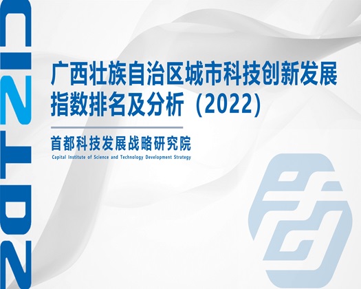 美女被插逼网站【成果发布】广西壮族自治区城市科技创新发展指数排名及分析（2022）